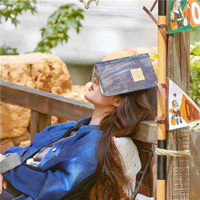 剧场版 假面骑士Drive SURPRISE FUTURE